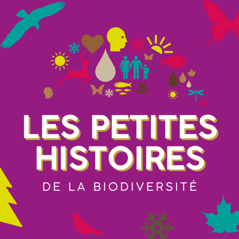 Enregistrement, montage, mixage et sound design du podcast les petites histoires de la biodiversité épisode 7